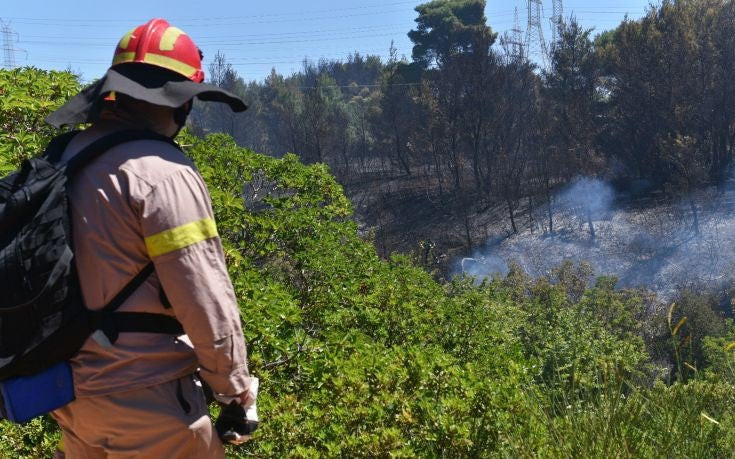 Πυρκαγιά σε δασική έκταση στην περιοχή Ταξιάρχες Θέρμου